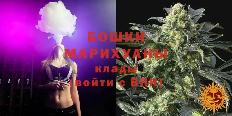 наркотики  Карачев  Шишки марихуана OG Kush 